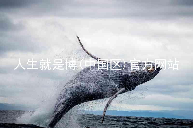 人生就是博(中国区)官方网站